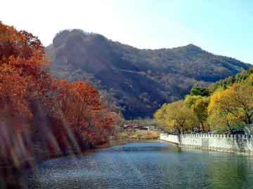 澳门天天免费精准大全，液氯